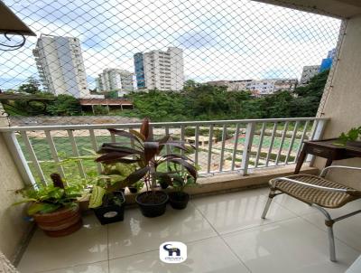 imagem-miniatura