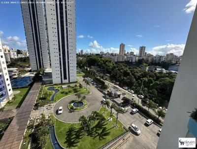 imagem-miniatura