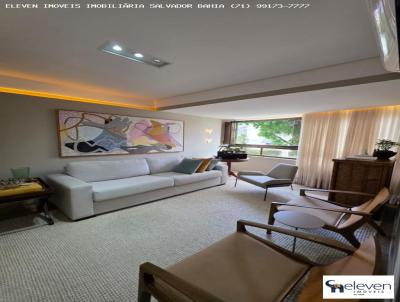 imagem-miniatura