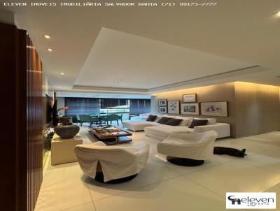 imagem-miniatura