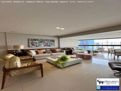 imagem-miniatura